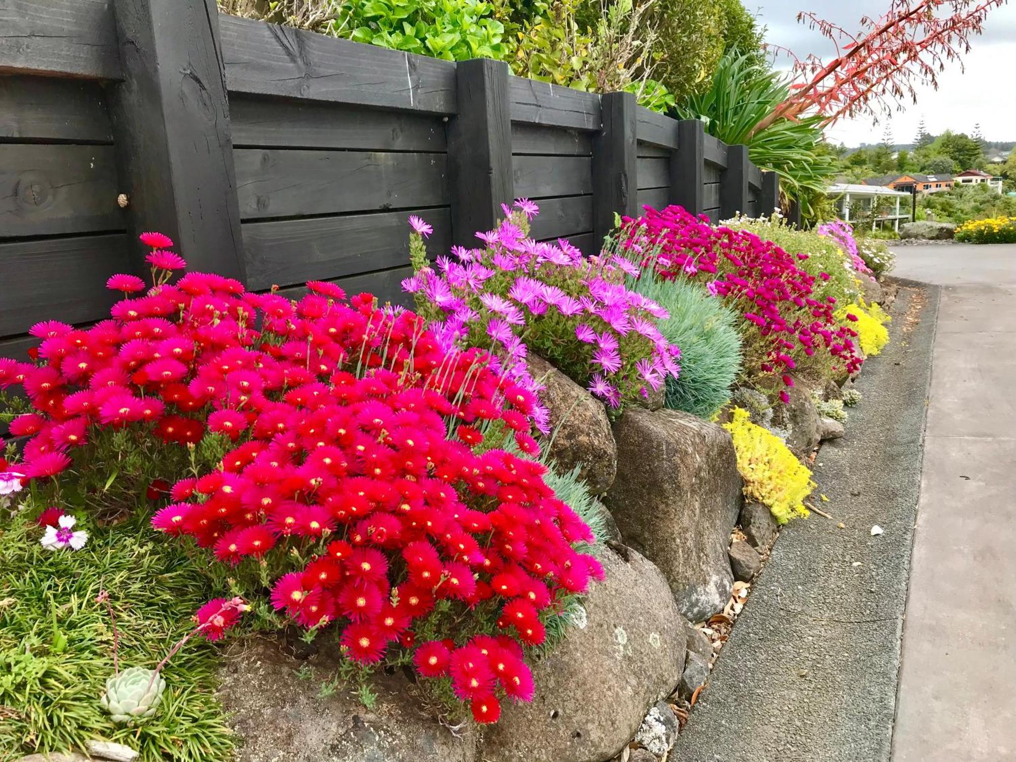 Sunset Point Kerikeri Apartment Екстериор снимка